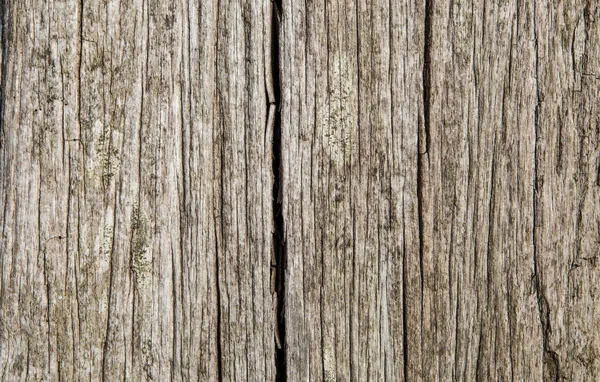 古い木の質感 自然素材の背景 — ストック写真