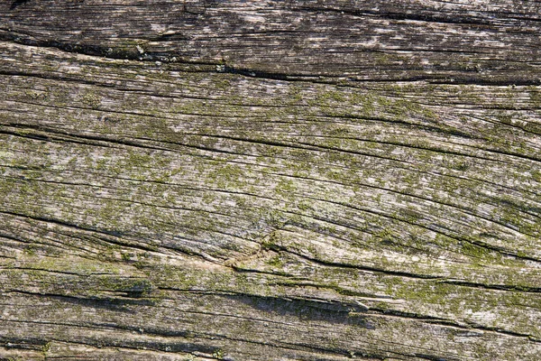 Стара Текстура Дерева Фон Природного Матеріалу — стокове фото