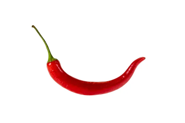 Red Hot Chili Pepper White Background Stock Image