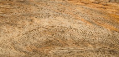  Ahşap doku - doğa materyali arka plan