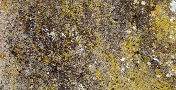 Tekstura Pękniętego Kamienia Tła — Zdjęcie stockowe