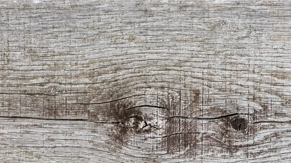 Textura Madeira Tronco Árvore Cortada — Fotografia de Stock