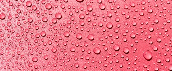 Wassertropfen Auf Rotem Hintergrund — Stockfoto