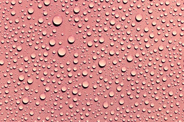 Water Drops Red Background — Stock Photo, Image