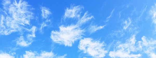 하늘과 구름을 배경으로 — 스톡 사진