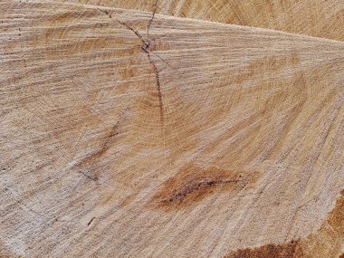 Eski ahşap ahşap duvar arka planının dokusu