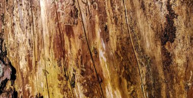 Eski ahşap ahşap duvar arka planının dokusu