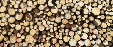 Odun yığını - kerestelerin arka planı