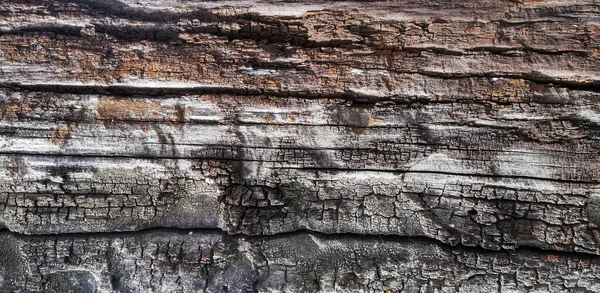 Textur Aus Altem Braunem Holz Hintergrund Der Holzoberfläche — Stockfoto