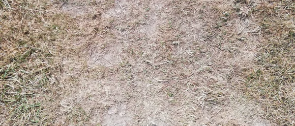 Textura Campo Grama Morta — Fotografia de Stock