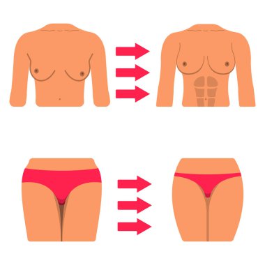 Beyaz kadın vücut parçası kümesi. Şişman ve sportif vücut simgesi. Vektör çizim etiket.