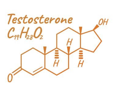 Testosteron etiket ve simge. Kimyasal formülü ve yapısı Logo. Vektör çizim.