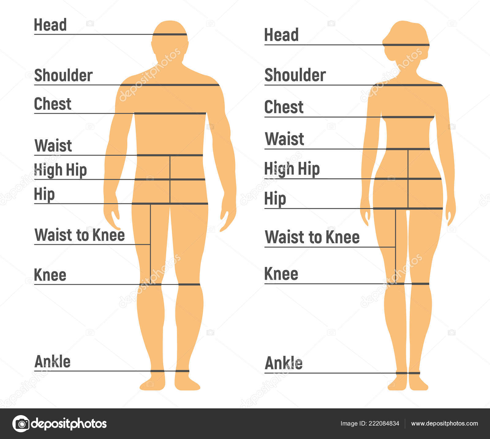 Silhouette Size Chart