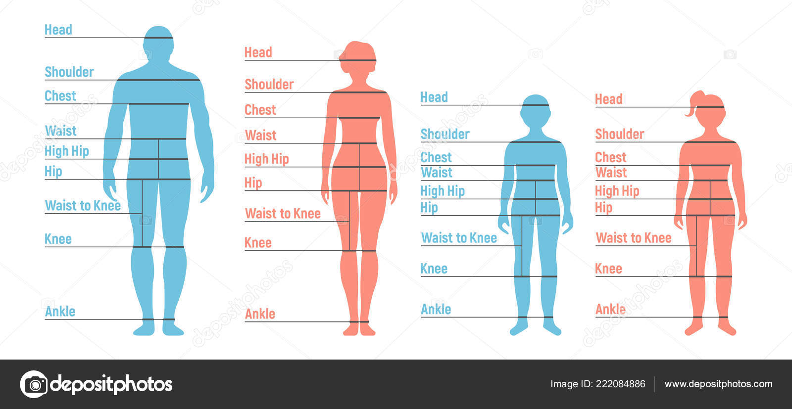 Boy Or Girl Chart