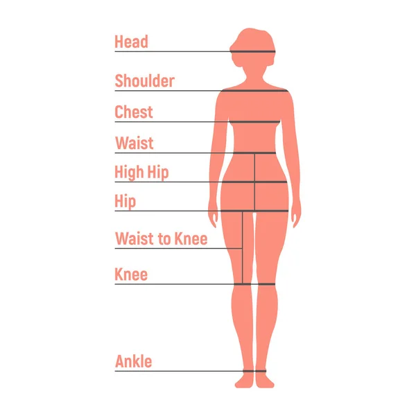 Woman Size Chart Siluet Sisi Depan Manusia Terisolasi White Background - Stok Vektor