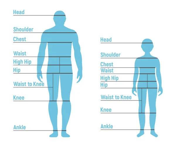 Man Boy Size Chart Siluet Sisi Depan Manusia Terisolasi White - Stok Vektor