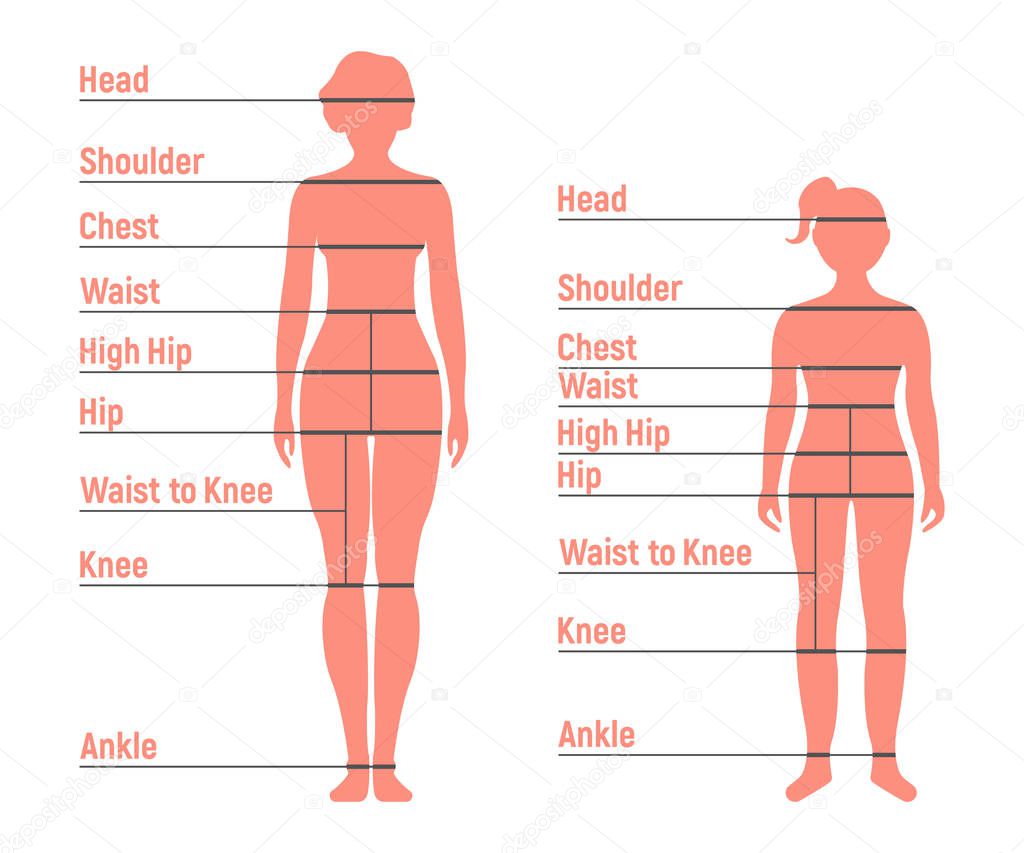 Woman and Girl Size Chart. Human front side Silhouette. Isolated on White Background. Vector illustration.