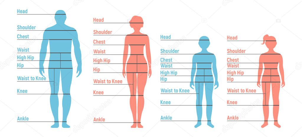 Man, woman, boy and girl Size Chart. Human front side Silhouette. Isolated on White Background. Vector illustration.