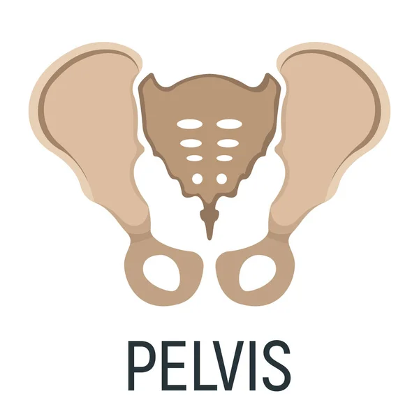 Hueso Pelvis Icono Del Concepto Rayos Imagen Del Cuerpo Humano — Archivo Imágenes Vectoriales