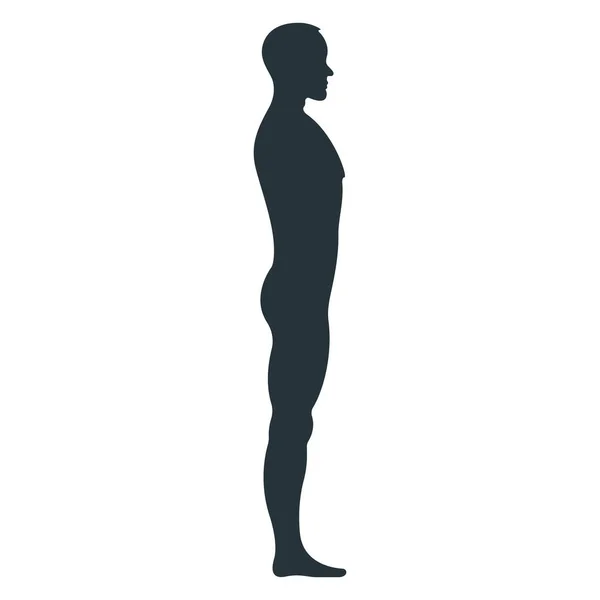 Männlicher Menschlicher Charakter Menschen Mann Ansicht Seite Körper Silhouette Isoliert — Stockvektor