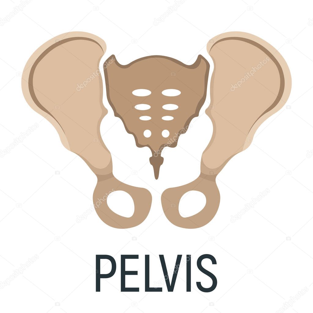 Pelvis bone, x-ray concept icon, roentgen human body image isolated on white, flat vector illustration. Skeleton part of man organism, silhouette black biological science.