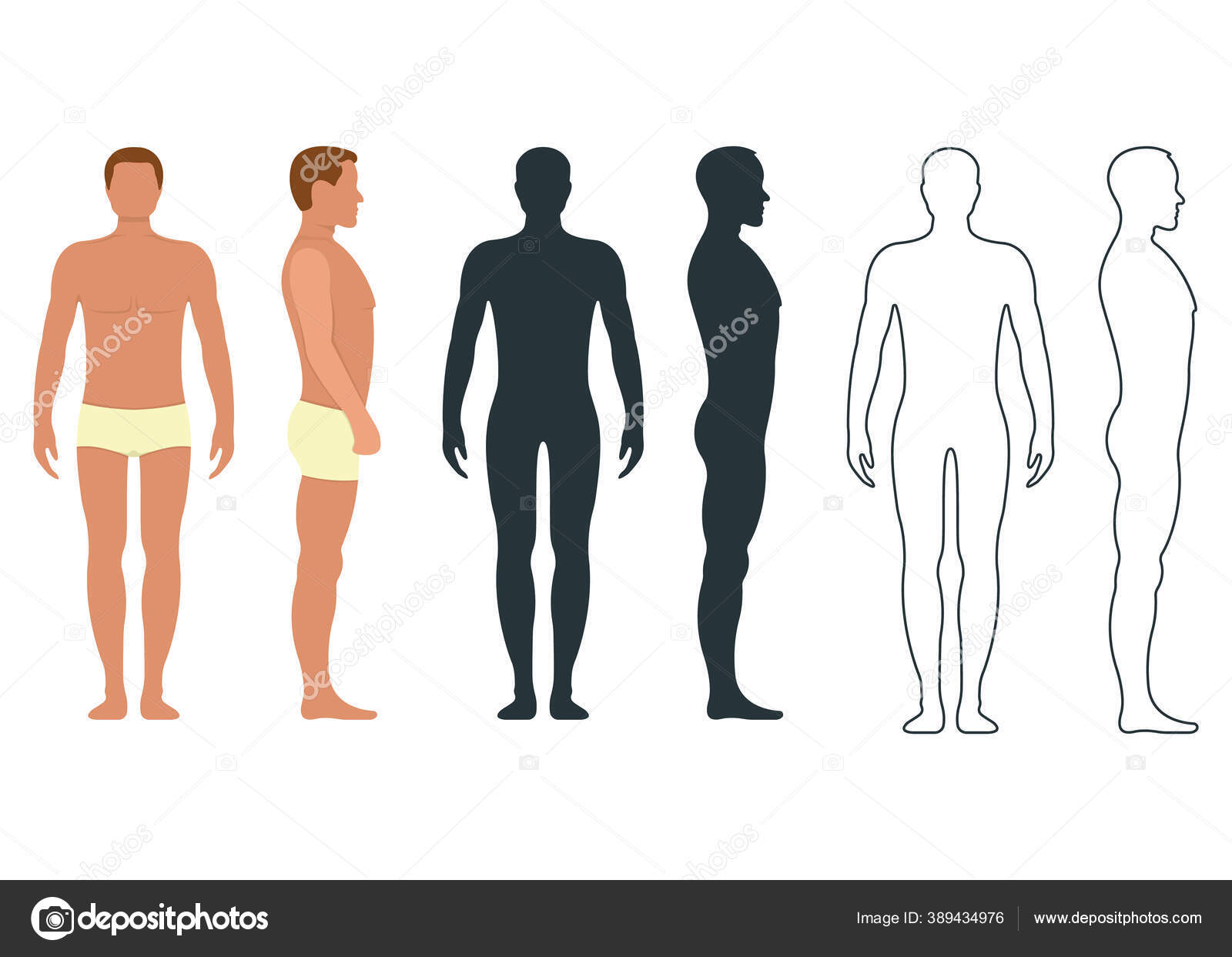 Male Female Anatomy Human Character People Dummy Front View Side Stock Vector Image by ©apvaper #389434976 Male Female Anatomy Human Character People Dummy Front View Side Stock Vector Image by ©apvaper #389434976