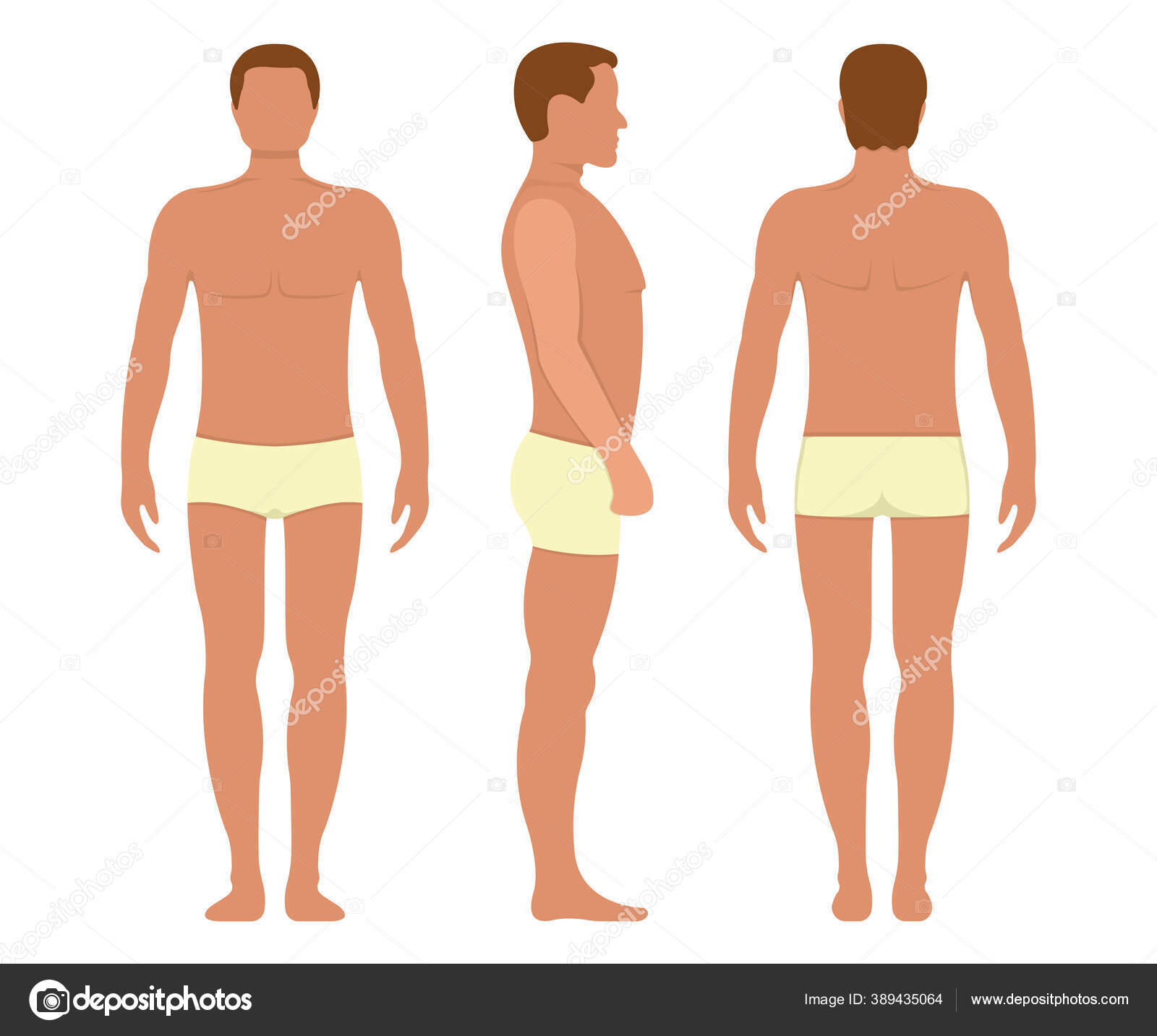 Male Anatomy Human Character Man People Dummy Front View Side Stock Vector  Image by ©apvaper #389435064