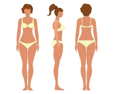 Kadın anatomisi insan karakteri, kadın insanlar ön ve yan vücut silueti görüyor, beyaz, düz vektör çiziminde izole edilmiş. Siyah ve karikatür adamı manken insan ölçeği konsepti.