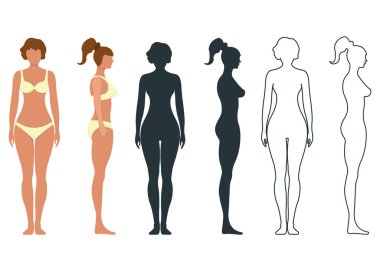 Kadın anatomisi insan karakteri, insanlar ön ve yan vücut siluetini taklit ediyor, beyaz, düz vektör çizimine izole edilmiş. Siyah, ana hatlı ve çizgi film mankeni insanların ölçek kavramı.