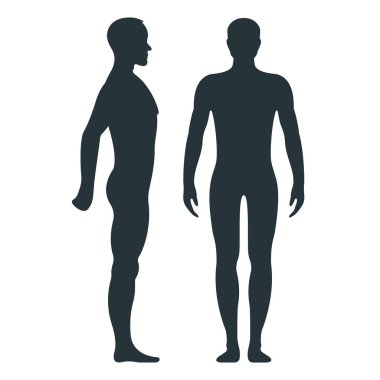 Erkek anatomisi, insan karakteri, ön ve yan vücut silueti, beyaz, düz vektör illüstrasyonunda izole. Siyahi insan mankeni konsepti.