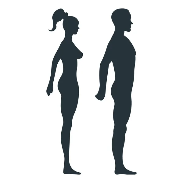 Female Male Anatomy Human Character Woman Man People Dummy Front — Stock Vector