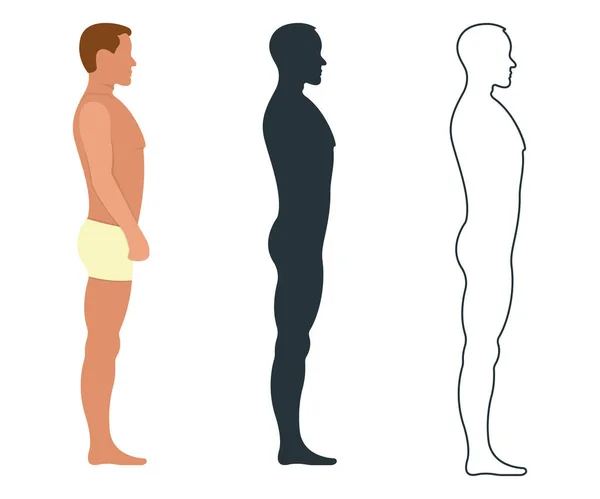 Anatomie Masculine Féminine Caractère Humain Personnes Factice Devant Vue Silhouette — Image vectorielle