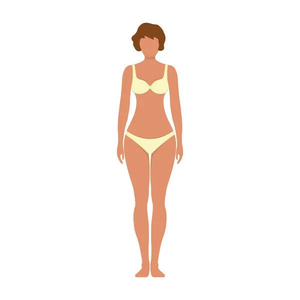 女性解剖人物性格 女性人物形象的正面和侧面身体轮廓 孤立在白色 扁平的矢量图上 黑人和卡通人物人体模型人尺度概念 — 图库矢量图片