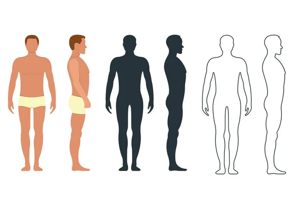 Personaje Humano Anatomía Masculina Femenina Frente Maniquí Gente Silueta Lateral — Archivo Imágenes Vectoriales