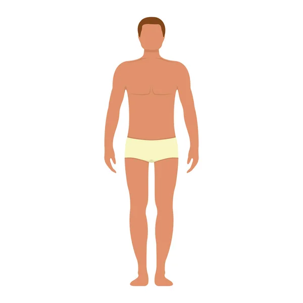 Anatomía Masculina Personaje Humano Gente Del Hombre Frente Maniquí Ver — Vector de stock