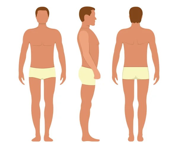 Erkek anatomisi, insan karakteri, ön ve yan vücut silueti, beyaz, düz vektör illüstrasyonunda izole. Siyah ve karikatür insanı manken insan ölçeği konsepti.