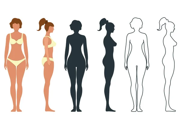 Kadın anatomisi insan karakteri, insanlar ön ve yan vücut siluetini taklit ediyor, beyaz, düz vektör çizimine izole edilmiş. Siyah, ana hatlı ve çizgi film mankeni insanların ölçek kavramı.