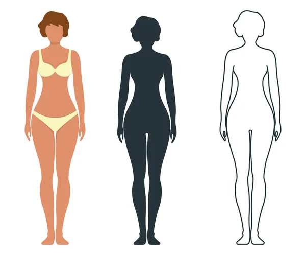 Anatomie Féminine Caractère Humain Personnes Factice Devant Vue Silhouette Corps — Image vectorielle