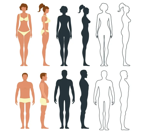 男人和女人解剖人物性格 人的形象化的正面和侧面身体轮廓 孤立在白色的平面矢量图上 轮廓和卡通人物尺度概念 — 图库矢量图片