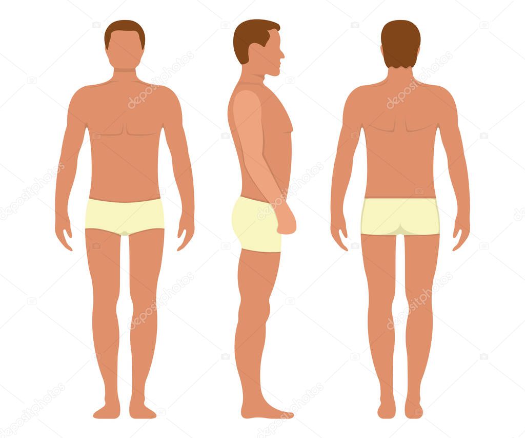 Male anatomy human character, man people dummy front and view side body silhouette, isolated on white, flat vector illustration. Black and cartoon person mannequin people scale concept.