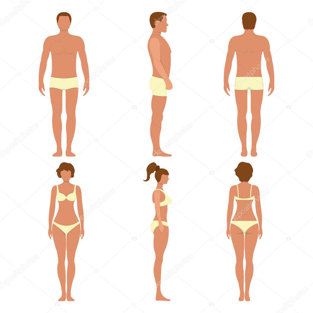 Male and female anatomy human character, people dummy front and view side body silhouette, isolated on white, flat vector illustration. Black and cartoon mannequin people scale concept.