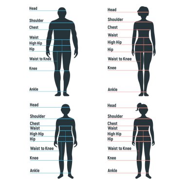 Erkek ve kadın boyutlarında, anatomi insan karakteri, insanlar ön ve yan vücut siluetine bakıyorlar, beyaz, düz vektör çiziminde izole edilmiş. Çizgi film mankeni insan boyut ölçeği.
