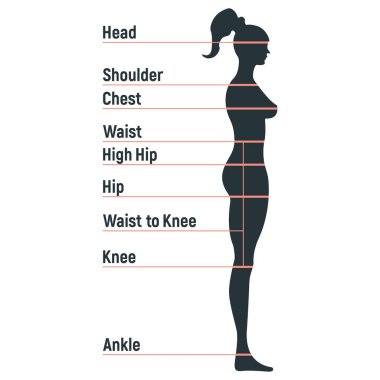 Kadın boyut tablosu insan karakteri, insanlar ön ve yan vücut siluetini taklit ediyor, beyaz, düz vektör illüstrasyonunda izole edilmiş. Çizgi filmdeki kadın manken insan boyut ölçeği.