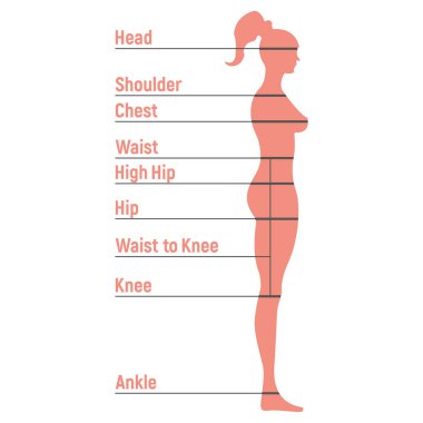 Kadın boyut tablosu insan karakteri, insanlar ön ve yan vücut siluetini taklit ediyor, beyaz, düz vektör illüstrasyonunda izole edilmiş. Çizgi filmdeki kadın manken insan boyut ölçeği.