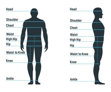 Erkek boyutu grafiği insan karakteri, insanlar ön ve yan vücut siluetini taklit ediyor, beyaz, düz vektör çiziminde izole edilmiş. Çizgi filmci manken insan boyut ölçeği.