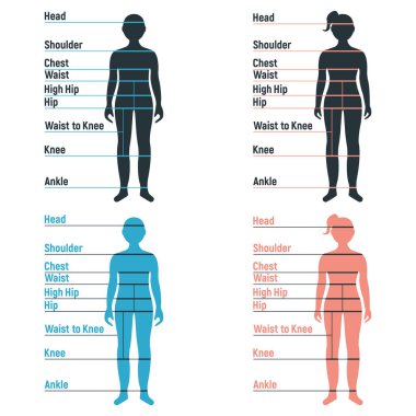 Male and female size chart anatomy human character, people dummy front and view side body silhouette, isolated on white, flat vector illustration. Cartoon mannequin people dimension scale. clipart