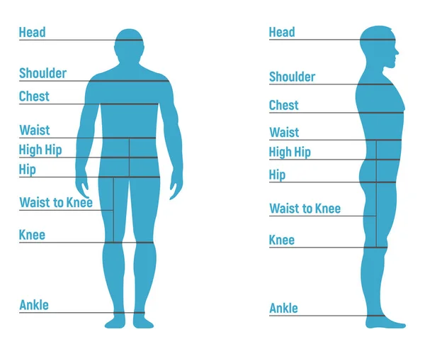 Erkek Boyutu Grafiği Insan Karakteri Insanlar Yan Vücut Siluetini Taklit — Stok Vektör