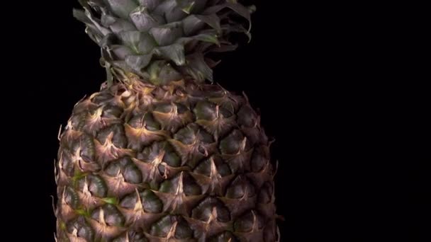 Ananas Spinning Schwarzer Hintergrund — Stockvideo