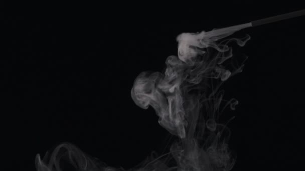 White smoke shooting upwards on a black background. — Stock Video