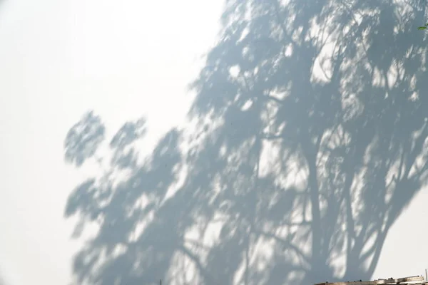 Doğanın güzel manzarası